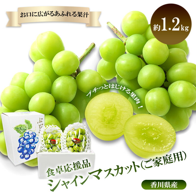 【ふるさと納税】「9月30日までの食卓応援品」　シャインマスカット2～3房（約1.2kg）　お届け：2025年8月中旬～10月中旬まで