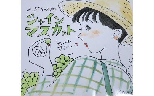 【先行予約】訳あり　琴浦町産シャインマスカット（粒パック）1.2kg