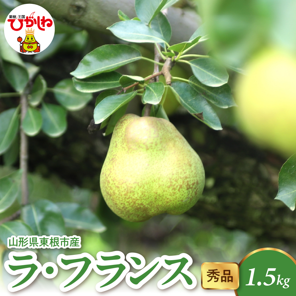【2026年産】 ラ・フランス 1.5kg（4-7玉） 秀品 山形県 東根市 千笑花夢提供 hi082-019-r8 1.5kg（4-7玉）
