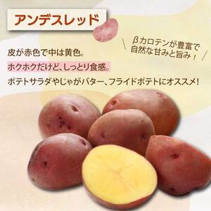 じゃがいも2種食べ比べセット5kg　(アンデスレッド・デジマ　各2.5kg) 野菜 やさい ジャガイモ いも 根菜 ポテト お芋 ジャガ芋 農家直送 産地直送 国産 157004