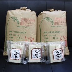 【令和5年産米】横芝光町産コシヒカリ10kg×2、生切り餅(450g×3)横芝光町産もち米使用