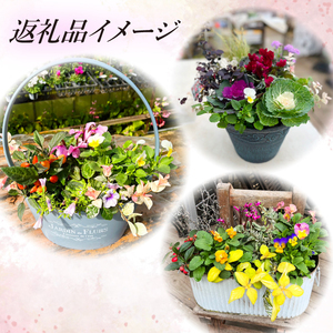 東北最大級のガーデニング専門店 厳選 『季節の寄せ植え』雅 8種類 ～ 10種類 【花工房らら倶楽部】 花 生花 フラワー 植物 観葉植物 寄せ植え 季節 鉢植え 鉢 ポット ガーデニング 庭 玄関 