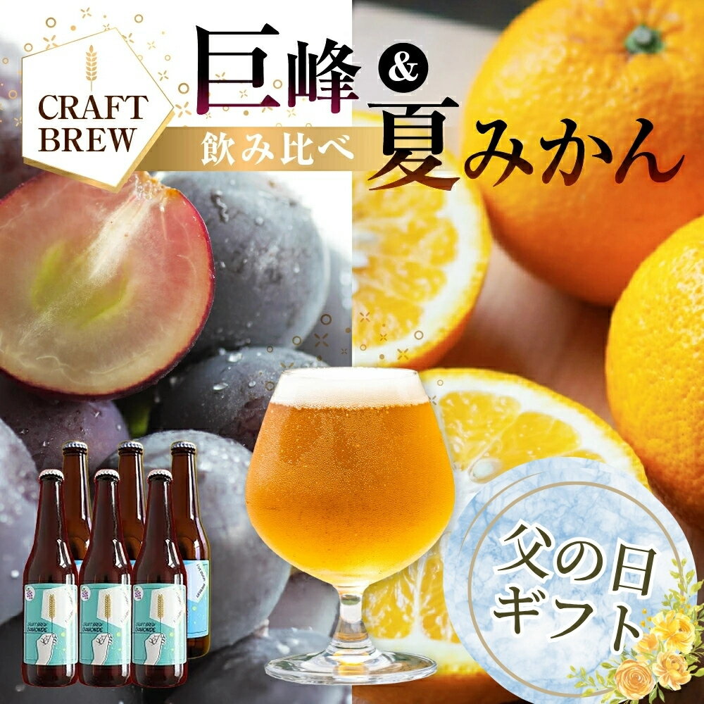 【ふるさと納税】クラフトビール 飲み比べ『巨峰＆夏みかん』DAMONDE 6本セット ビール ビールセット 贈答 ギフト 父の日 お祝い お酒 地ビール 地酒 瓶ビール おススメ ギフト プレミアムビール BBQ 差し入れ クラフト 麦酒 愛知県 豊橋市