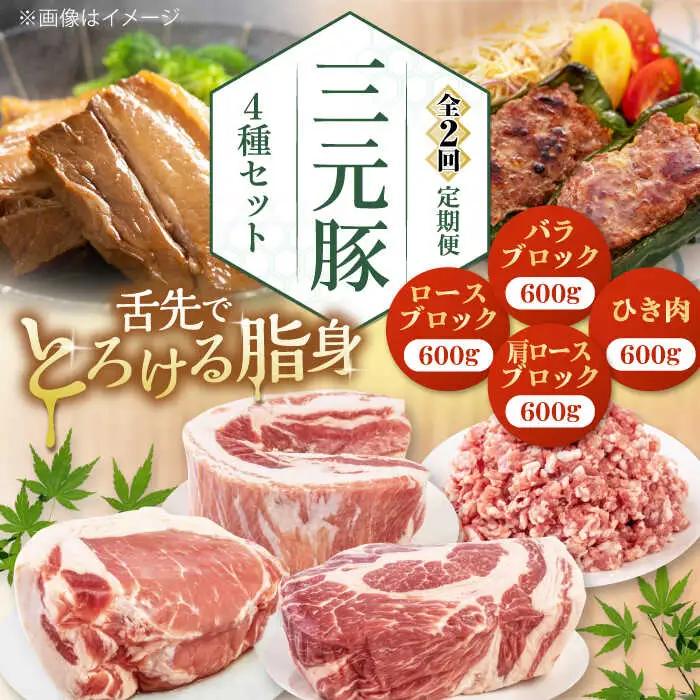 【全2回定期便】 4種 セット 豚肉セット AJAP050