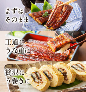 【4パック分け】鰻 国産 うなぎ かば焼き 2尾 小分け 約320g うな藤