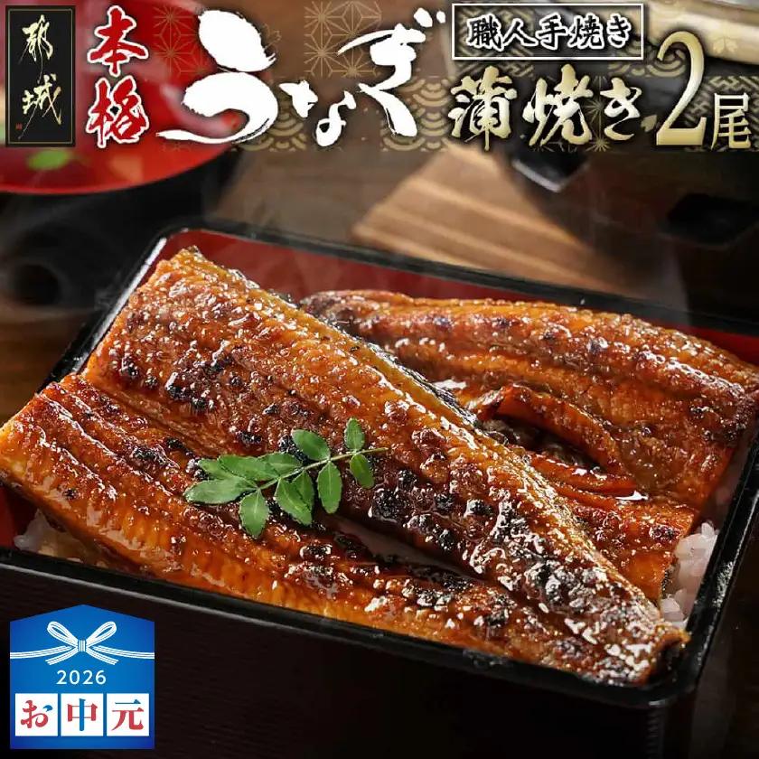 【お中元】職人手焼きの本格うなぎ蒲焼き2尾_MJ-33-003-2-SG_(都城市) 鰻蒲焼 2尾 タレ付き 国産 蒲焼き 特製たれ付き 冷凍 ウナギ かば焼き うなぎ ギフト 贈答用