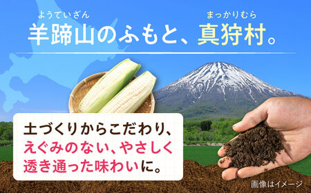 【2026年8月下旬以降順次発送】 とうもろこし 白（白）5kg  |  とうもろこし とうきび トウモロコシ コーン 野菜 やさい 北海道 産地直送 |  道の駅 真狩フラワーセンター[BPAM02