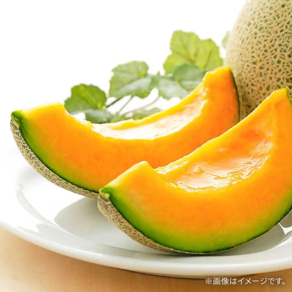 【2027年5月-発送】タカミメロン レッド 1玉 / メロン めろん フルーツ 果物 / 南島原市 / 南島原果物屋[SCV029]
