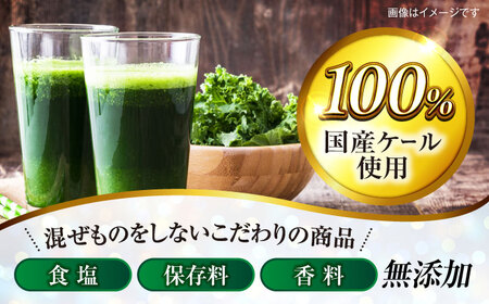 遠藤青汁 【生】 冷凍 1箱 (100g×28袋) / 青汁 遠藤青汁 冷凍青汁 青汁 遠藤青汁 冷凍青汁 [ATAC001]