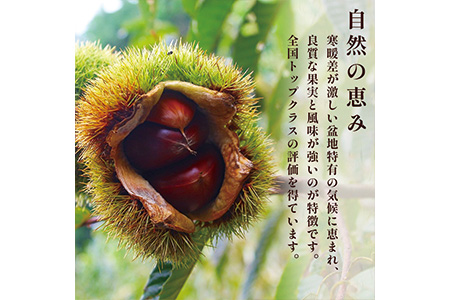 【2025年9月下旬から順次発送】 JAくま 【球磨 栗】 2kg くり 熊本県産 多良木町 くり マロン 旬の味覚 生栗