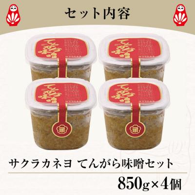 ふるさと納税 いちき串木野市 てんがら味噌セット(850g×4個) |  | 02