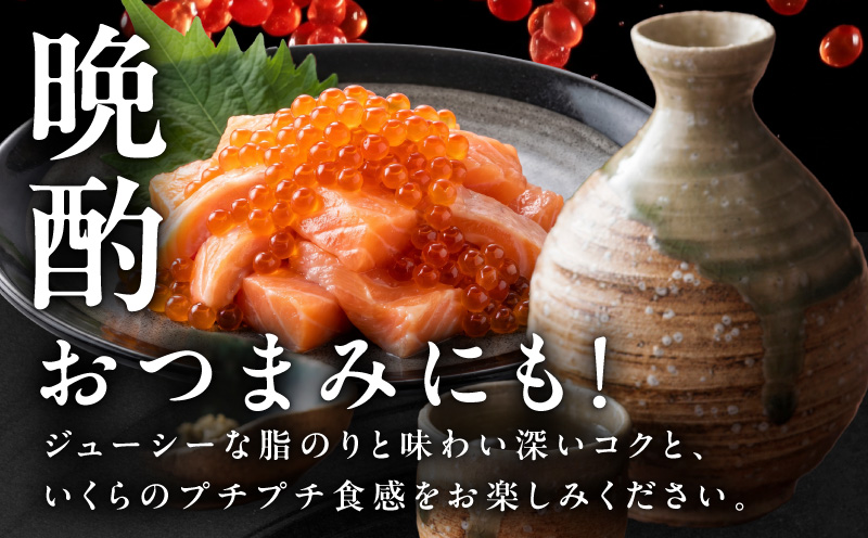 特製醤油タレ サーモンいくらのルイベ漬け 合計170g【小分け 85g×2P おつまみ 晩酌 お酒のあて ご飯のお供 大阪 泉佐野 大阪府 泉佐野市】