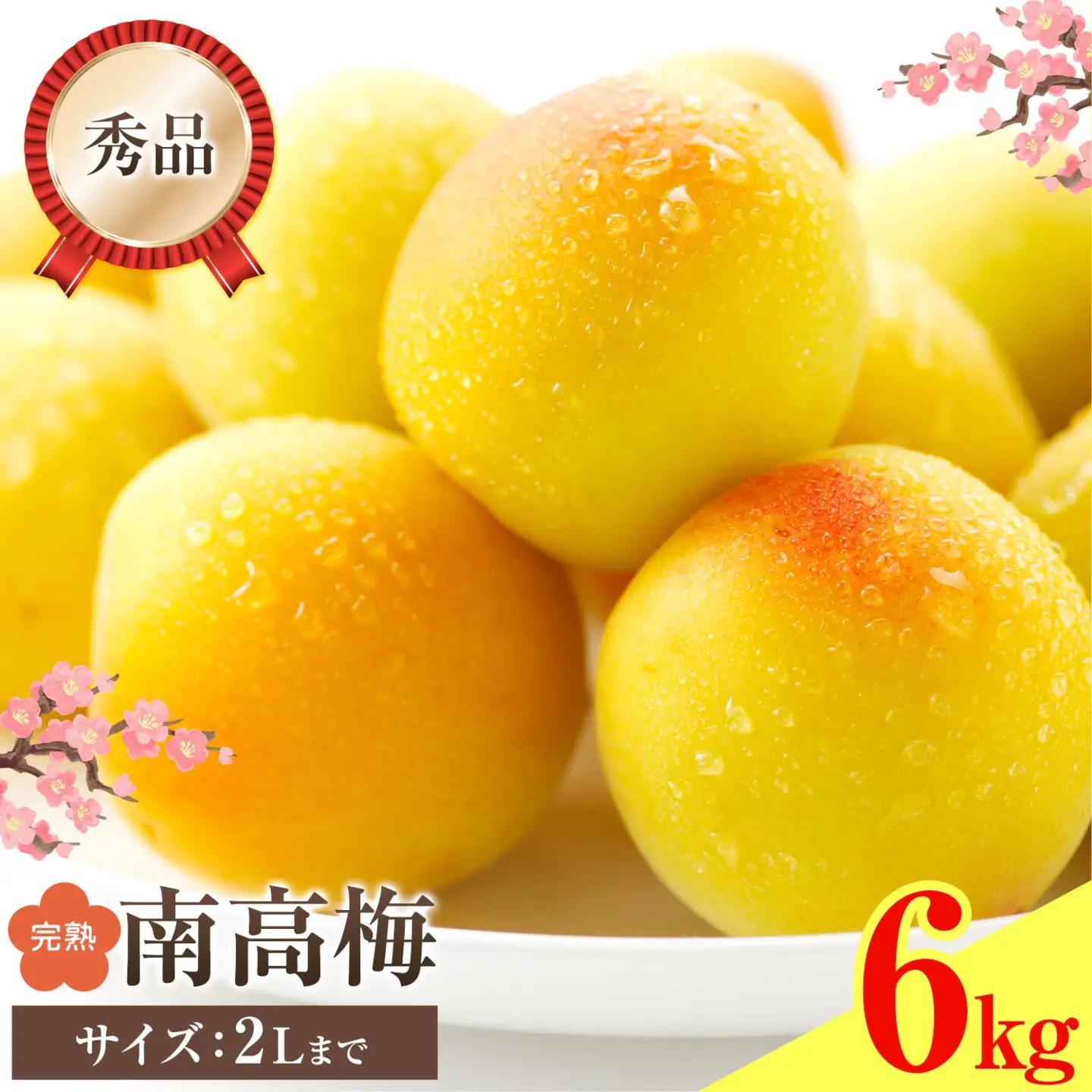 紀州南高梅 秀品(完熟) 2L 6kg 農業福祉研究機構《6月下旬-7月上旬頃出荷》
