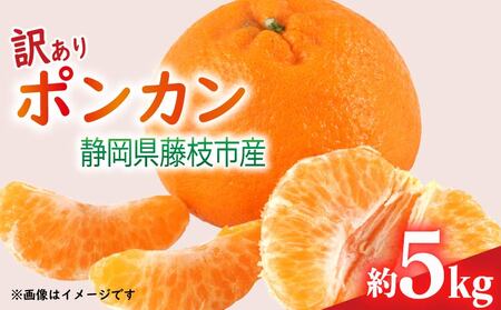 【先行予約：2026年1月下旬より発送】 訳あり みかん 5kg M～2L ポンカン みかん