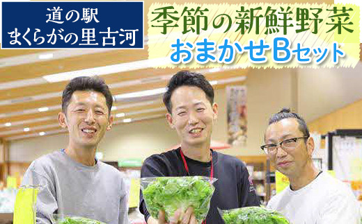 
道の駅まくらがの里古河　季節の新鮮野菜おまかせBセット 野菜 おいしい 産地直送 新鮮 詰め合わせ 定期便 便利 簡単 手軽 やさい ヤサイ 茨城県 古河市 お楽しみ 野菜定期便 セット _BQ04 ※北海道・沖縄・離島への配送不可
