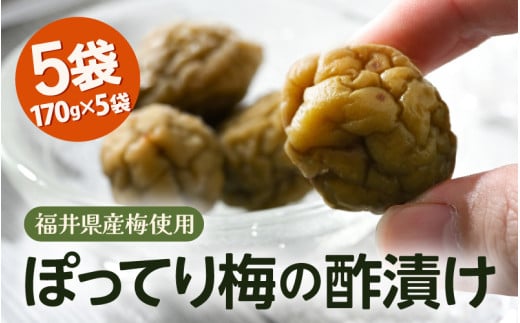 福井県産梅 ぽってり梅の酢漬け  計850g（170g × 5袋）【甘酸っぱい 国産梅 うめ フルーティー おやつ 梅干し ギフト 母の日 父の日 敬老の日】 [e78-a006]