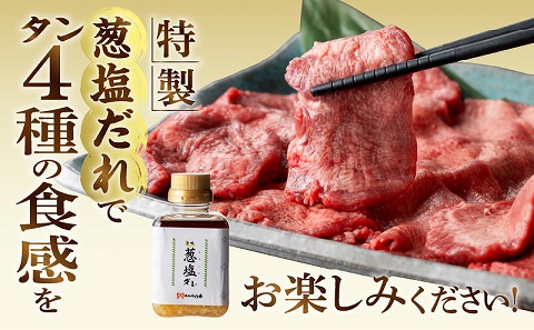 厚切り・薄切り牛タン食べ比べ【宮崎創業40年/老舗ハンバーグ店　平家の郷】厚切り・薄切り・タンバーグ・葱塩だれ付き