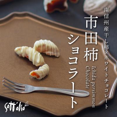 ふるさと納税 飯田市 市田柿ショコラート