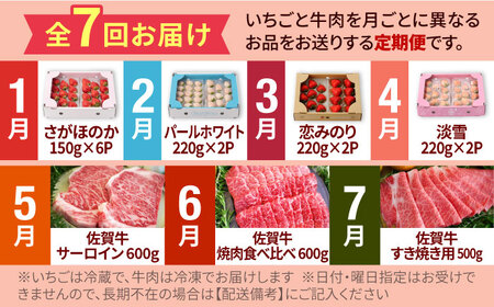 【先行予約】【7回定期便】産地直送！白石町産 いちごと牛肉の極上定期便 [IZZ014]