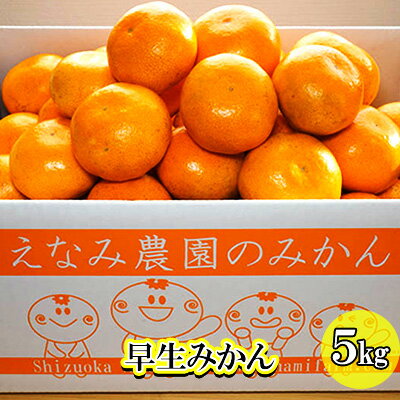 【ふるさと納税】【2025年11月上旬以降順次発送】えなみ農園の早生みかん 5kg（S～Lサイズミックス） 果物類 柑橘類 フルーツ ミカン 　お届け：2026年11月上旬～12月上旬