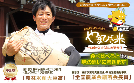 米 令和6年産 コシヒカリ（特別栽培米）5kg 新庄やまびこ米（白米） [m23-a007]