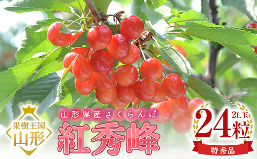 
            【令和7年産 先行予約】山形県産さくらんぼ 紅秀峰 特秀 2L玉 24粒 化粧箱入り FSY-1097
          
