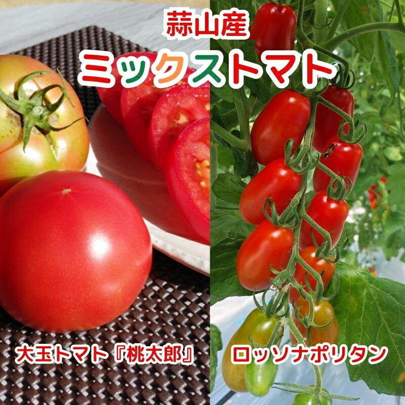 【ふるさと納税】亮麻農園　ミックストマト　大玉トマト「桃太郎」＆イタリアントマト「ロッソナポリタン」＜2025年8月～10月ごろ順次発送予定＞ 野菜 新鮮 産地直送 旬野菜 旬