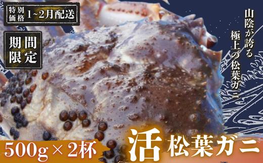 
            【1～2月末の配送希望の方！限定価格！】松葉ガニ500g×2〈活〉松葉ガニ マツバガニ　冬の旬。贅沢の極みをご家庭で。 松葉カニ マツバカニ カニ 蟹 新鮮 旬 プレゼント 贈与 お祝い事 贈り物 祝辞 隠岐 西ノ島町
          