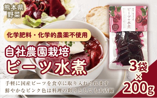 自社農園栽培 ビーツ 水煮 600g （200g×3袋） やさい 野菜 ボルシチ 小分け レトルトパウチ 健康 美容 国産 九州 熊本県 あさぎり町