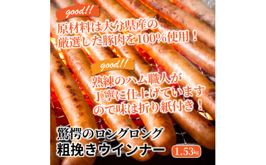 驚愕のロングロング粗挽きウインナー1.53kg（1194R）_イメージ2