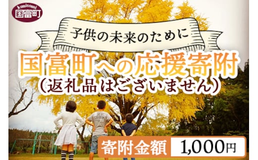 
										
										＜寄附のみの応援受付(返礼品はございません)＞寄附額1,000円※返礼品はございません【 応援 寄附 未来 地域支援 おすすめ 1000円 国富町 宮崎県国富町 】【a0039_ku】
									