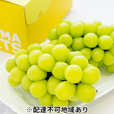 【ふるさと納税】ぶどう 2026年 先行予約 ご家庭用 シャイン マスカット 2～3房 合計約1.2kg ブドウ 葡萄 岡山県産 国産 フルーツ 果物 ギフト　お届け：2026年9月上旬～2026年10月下旬