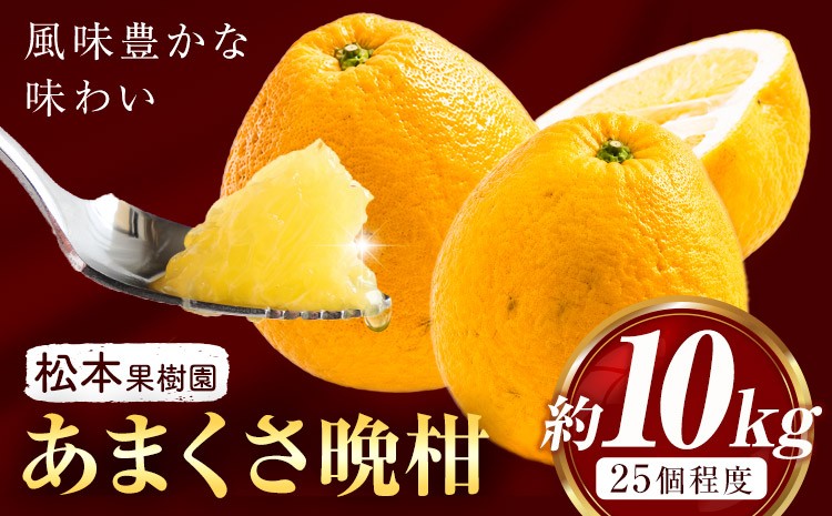 
                  みかん あまくさ晩柑 10kg 松本果樹園 《5月上旬-5月下旬出荷予定》 熊本県 苓北町 スイーツ デザート 果物 ミカン 蜜柑
                