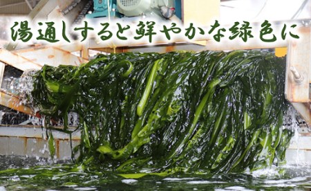 北緯40度ふだいわかめ（湯通し塩蔵わかめ）200g×3袋