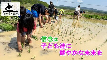 A284 　【 令和6年産 】 ゆめぴりか （ 精 白米 ） 特Aランク 北海道 米 を代表する人気の品種 真空パック 5kg×2袋 10㎏ 北海道 鷹栖町 たかすのお米 米 コメ こめ ご飯 白米 