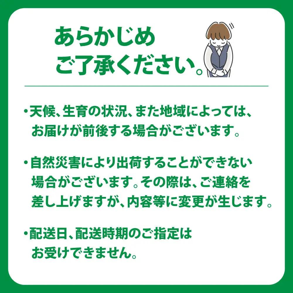 訳ありみかん 5kg 原口みかん[OBP002] 訳あり みかん