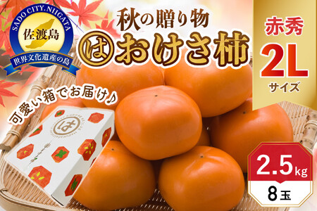 【先行予約】【2026年10月中旬より順次発送】高級おけさ柿赤秀2L（8玉）《種なし 芳醇な甘み》マルハおけさ柿ブランド