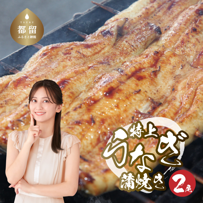 うなぎの蒲焼（半カット）2尾　380g以上 うなぎ 鰻 ウナギ 蒲焼 炭火