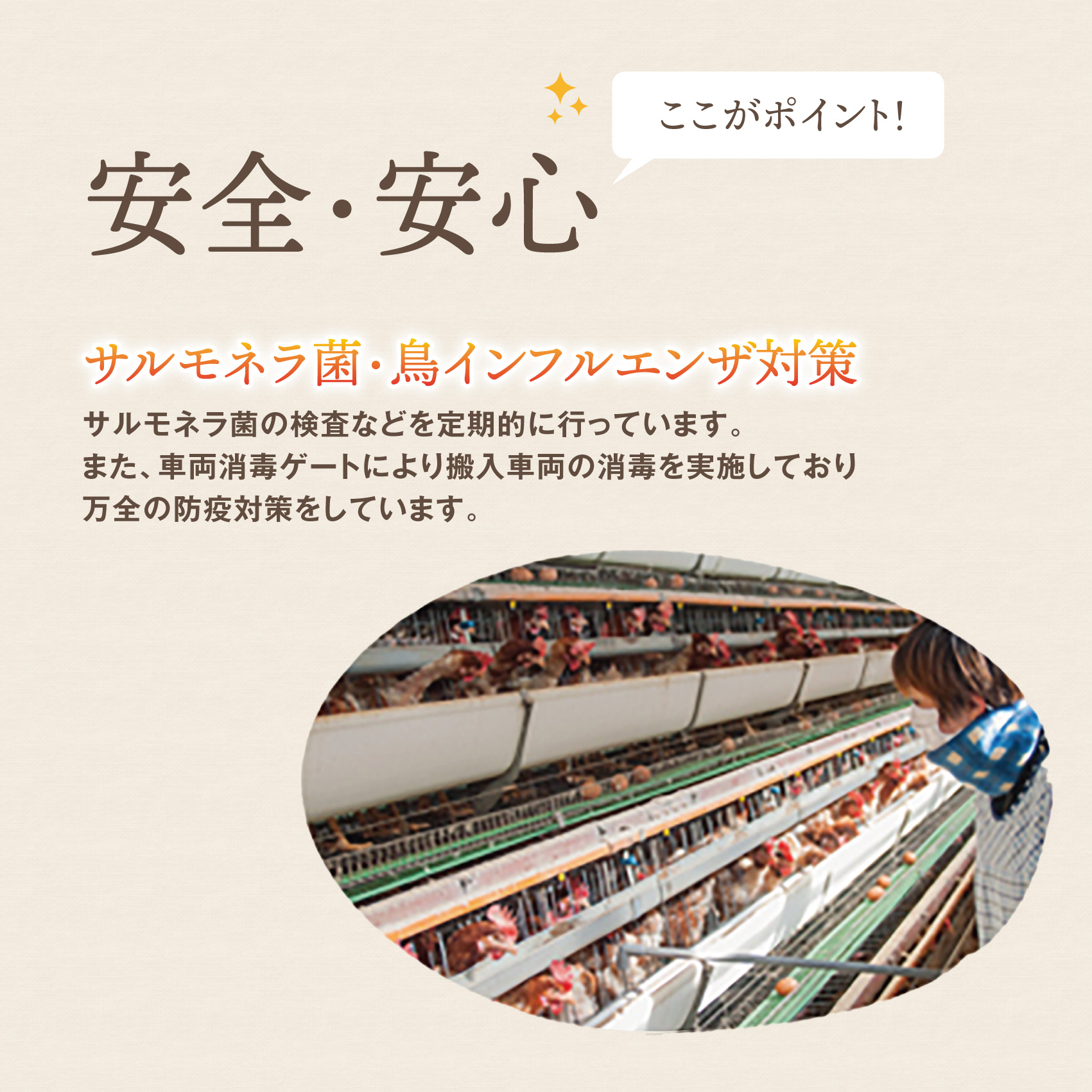 美味しい卵「きららの里」30個（27個＋卵割れ保障3個） 厳選された飼料と鈴鹿山麓の銘水で育った卵を新鮮な状態でお届けします。│たまご 卵 玉子 玉子焼き 卵焼き たまごかけご飯 鶏 ミネラル 赤玉_