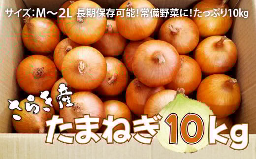 予約受付 たまねぎ 10kg さらき産【2025年7月発送開始】 岩手県 北上市 C0447 令和7年産 国産 玉ねぎ 玉葱 カレー シチュー  新鮮 フレッシュ オニオン サラダ BBQ 焼肉 野菜 Mサイズ Ⅼサイズ 2Ⅼサイズ