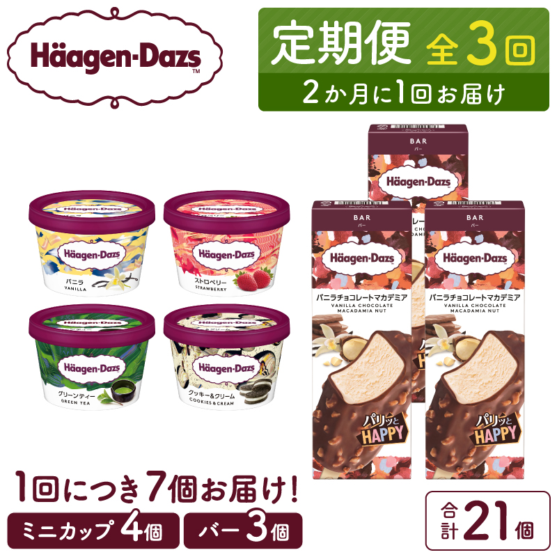 ＜全3回定期便・隔月＞ハーゲンダッツ『ミニカップ＆バーセット(合計21個)』アイスクリーム アイス スイーツ デザート_H0016-260