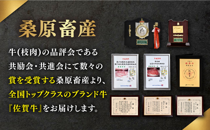 【3回定期便】 佐賀牛 A5 焼肉用 厳選部位 (ロース・モモ・ウデ・バラ) 400g (総計 1.2kg)【桑原畜産】 NAB029