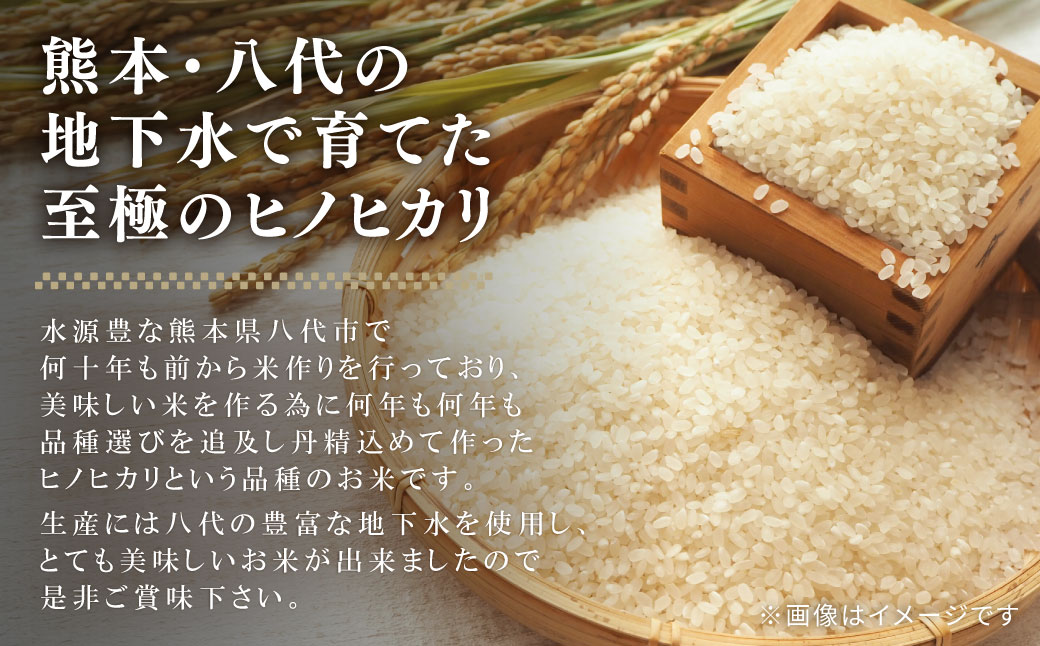 【先行予約】 【令和7年度産】 熊本県八代市産 米 ヒノヒカリ 3kg 【2025年11月上旬より順次発送】