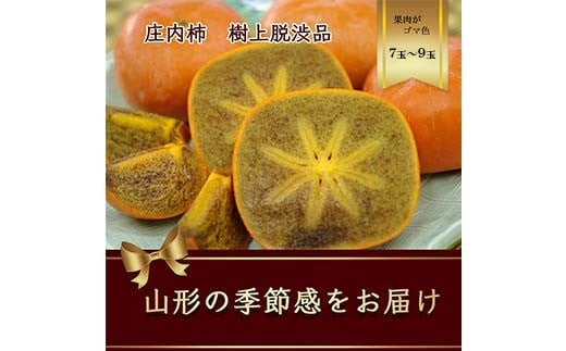樹上脱渋 庄内柿 果肉が黒ゴマ模様の種無し柿 7～9玉（2kg） 【2026年発送】 FSY-2630
