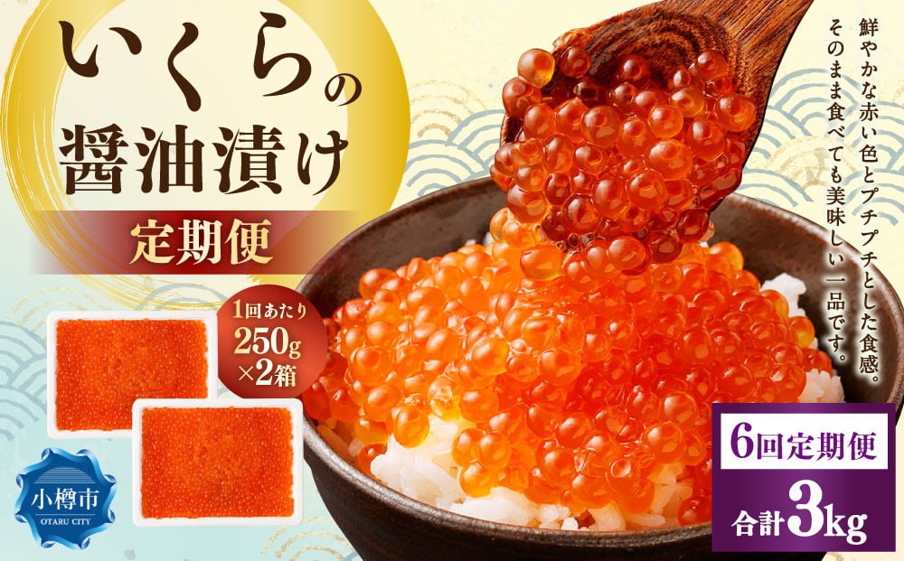 
            【6回定期便】いくらの醤油漬け 500g（250g×2） いくら イクラ 醤油漬け 冷凍 北海道 小樽市
          