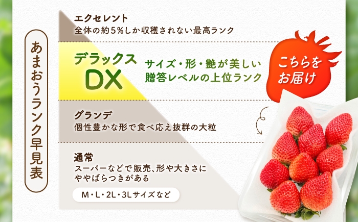 果物 あまおうDX等級 いちご イチゴ 苺 あまおう