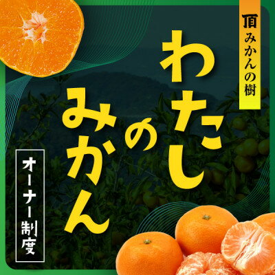 【ふるさと納税】頂みかんの樹50本オーナー権利【H31-38】【1511399】
