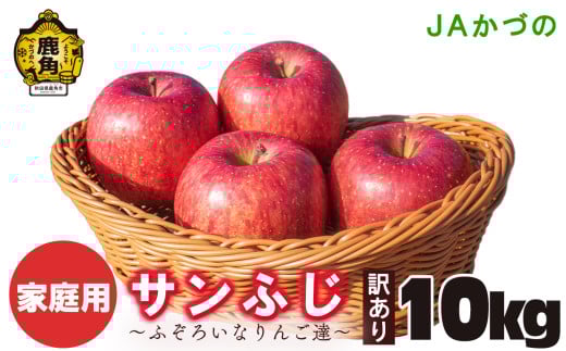 《先行予約》訳あり 鹿角りんご「サンふじ」ふぞろいなりんご達 10kg【JAかづの】●2026年1月中旬頃発送開始 家庭用 規格外 お徳用 林檎 リンゴ 完熟 蜜 10キロ 10K 10k 10KG 10 箱入り 旬 県産りんご お中元 お歳暮 贈り物 お見舞い ギフト 秋田県 秋田 あきた 鹿角市 鹿角 送料無料