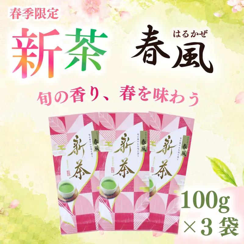 2026年度産 新茶 春風100g×3袋 静岡 県 牧之原市 相良物産