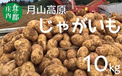 
食の都庄内　月山高原のじゃがいも　約10kg
